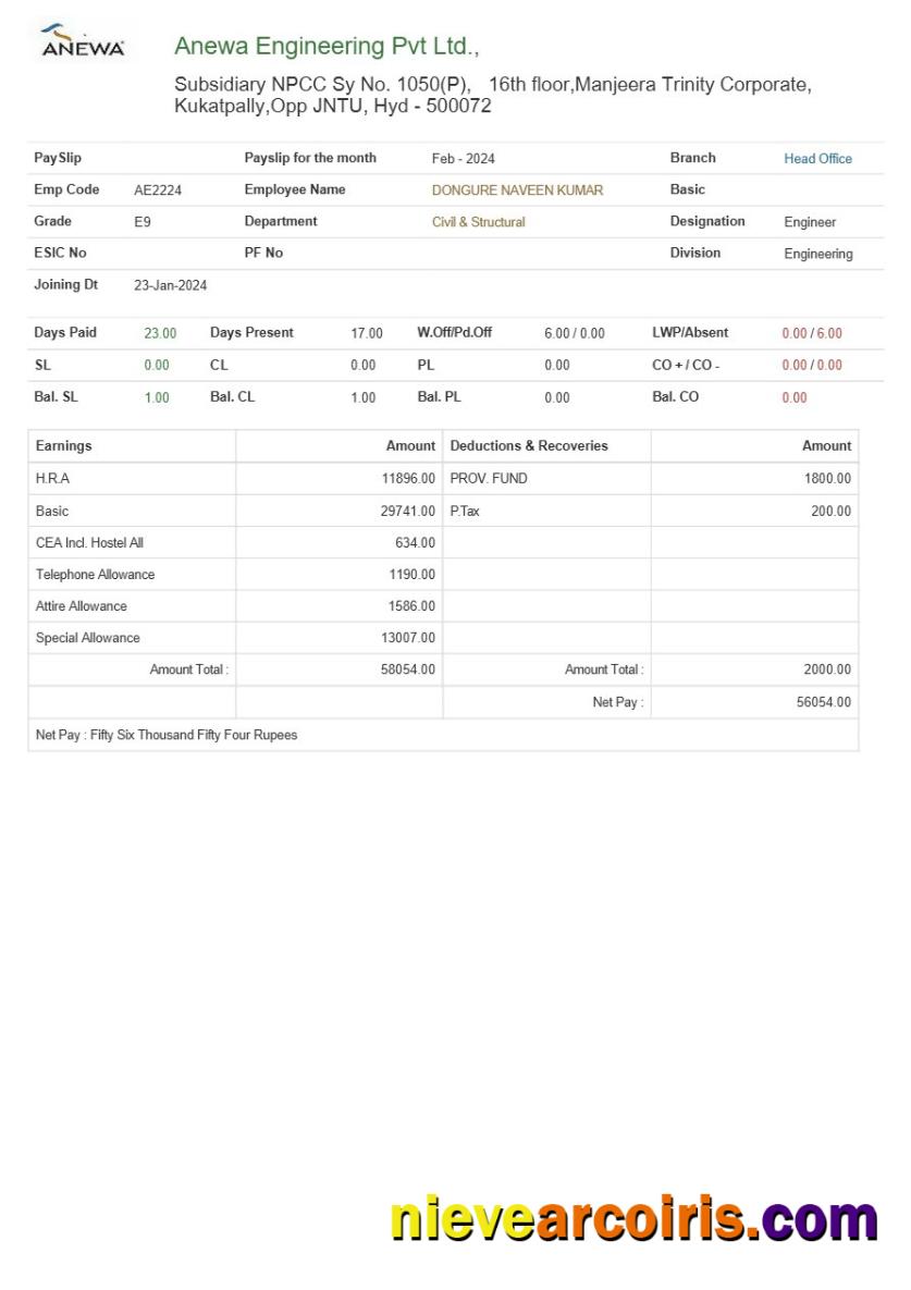 Anewa Engineering payslip